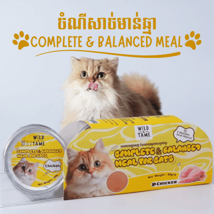 Complete & Balanced Meal Cat